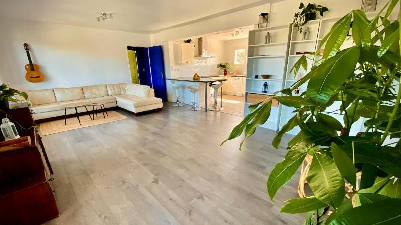 Sewa Surf House 10Min De Capbreton Hossegor Hotel Benesse-Maremne Ngoại thất bức ảnh
