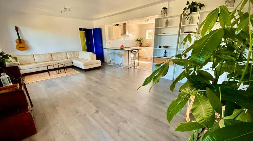 Sewa Surf House 10Min De Capbreton Hossegor Hotel Benesse-Maremne Ngoại thất bức ảnh