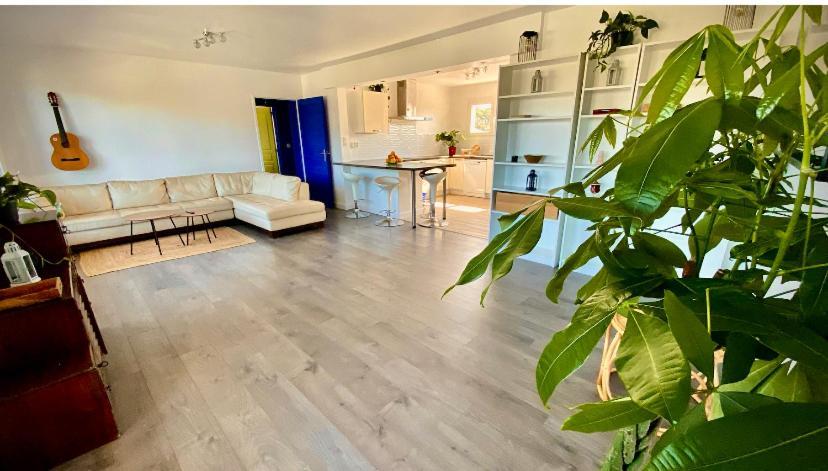 Sewa Surf House 10Min De Capbreton Hossegor Hotel Benesse-Maremne Ngoại thất bức ảnh